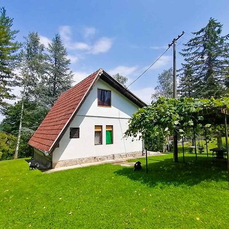 Takovo - Odmor U Selu Villa Gornji Milanovac Ngoại thất bức ảnh