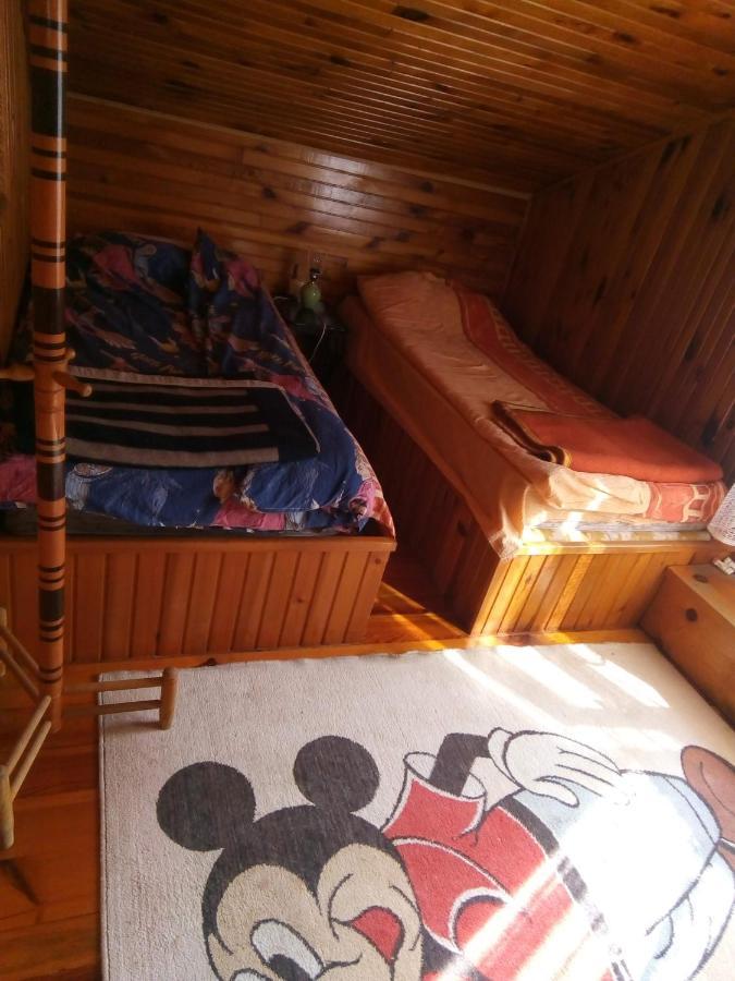 Takovo - Odmor U Selu Villa Gornji Milanovac Ngoại thất bức ảnh
