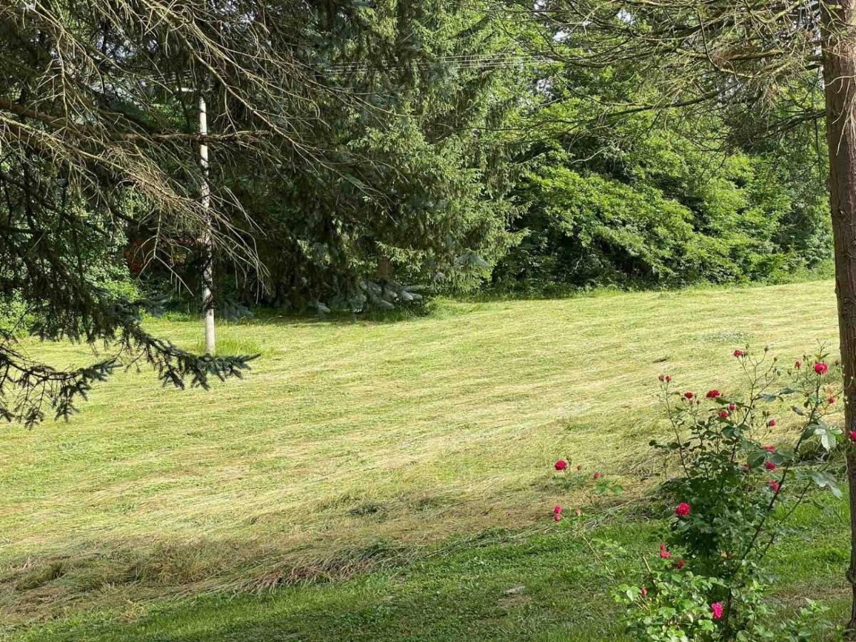 Takovo - Odmor U Selu Villa Gornji Milanovac Ngoại thất bức ảnh