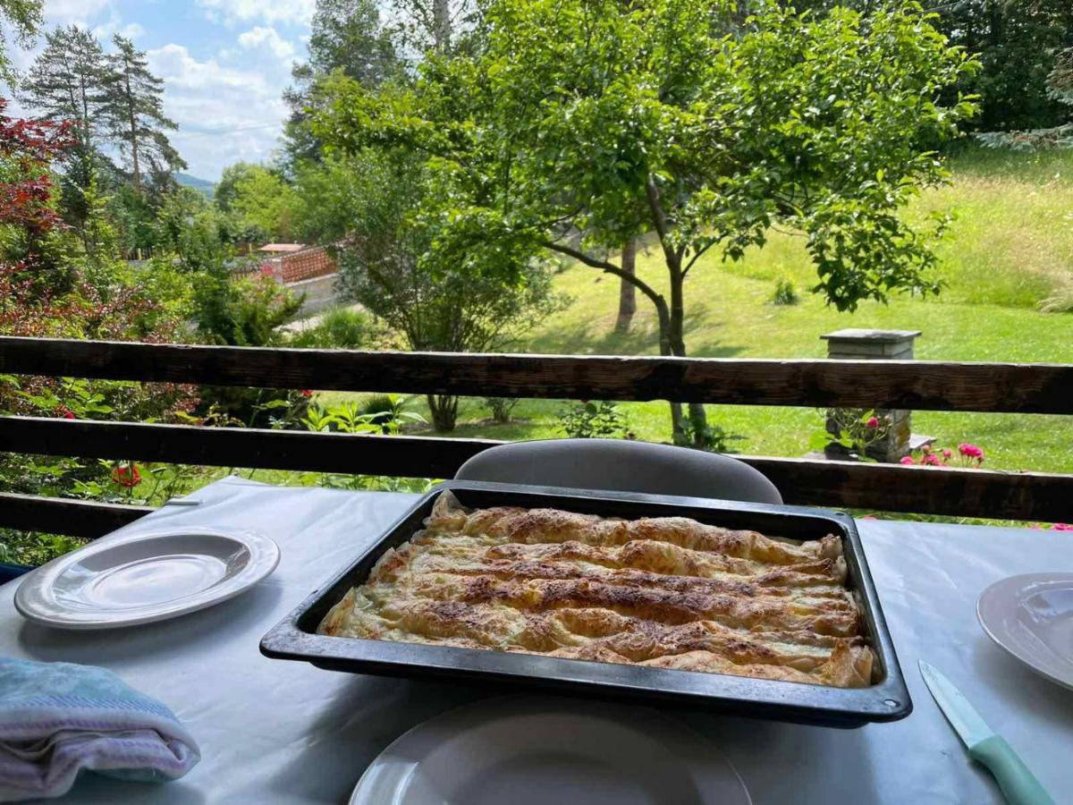 Takovo - Odmor U Selu Villa Gornji Milanovac Ngoại thất bức ảnh