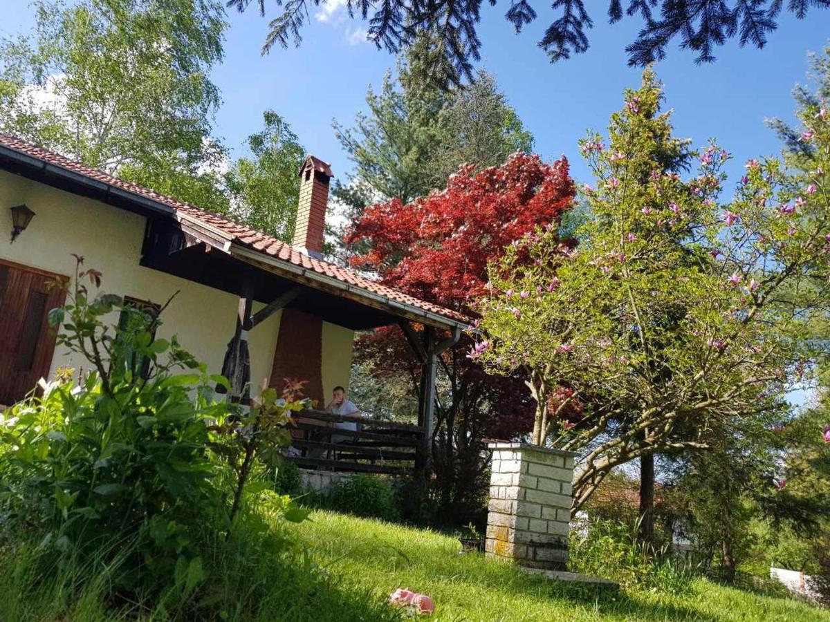 Takovo - Odmor U Selu Villa Gornji Milanovac Ngoại thất bức ảnh