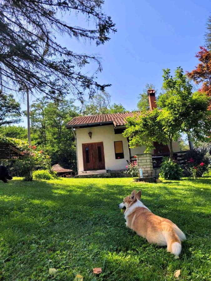 Takovo - Odmor U Selu Villa Gornji Milanovac Ngoại thất bức ảnh