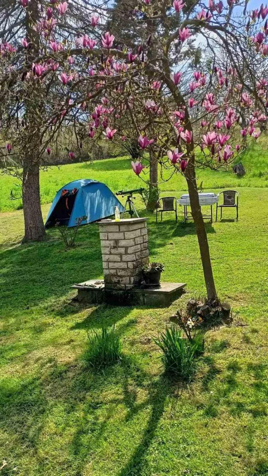 Takovo - Odmor U Selu Villa Gornji Milanovac Ngoại thất bức ảnh