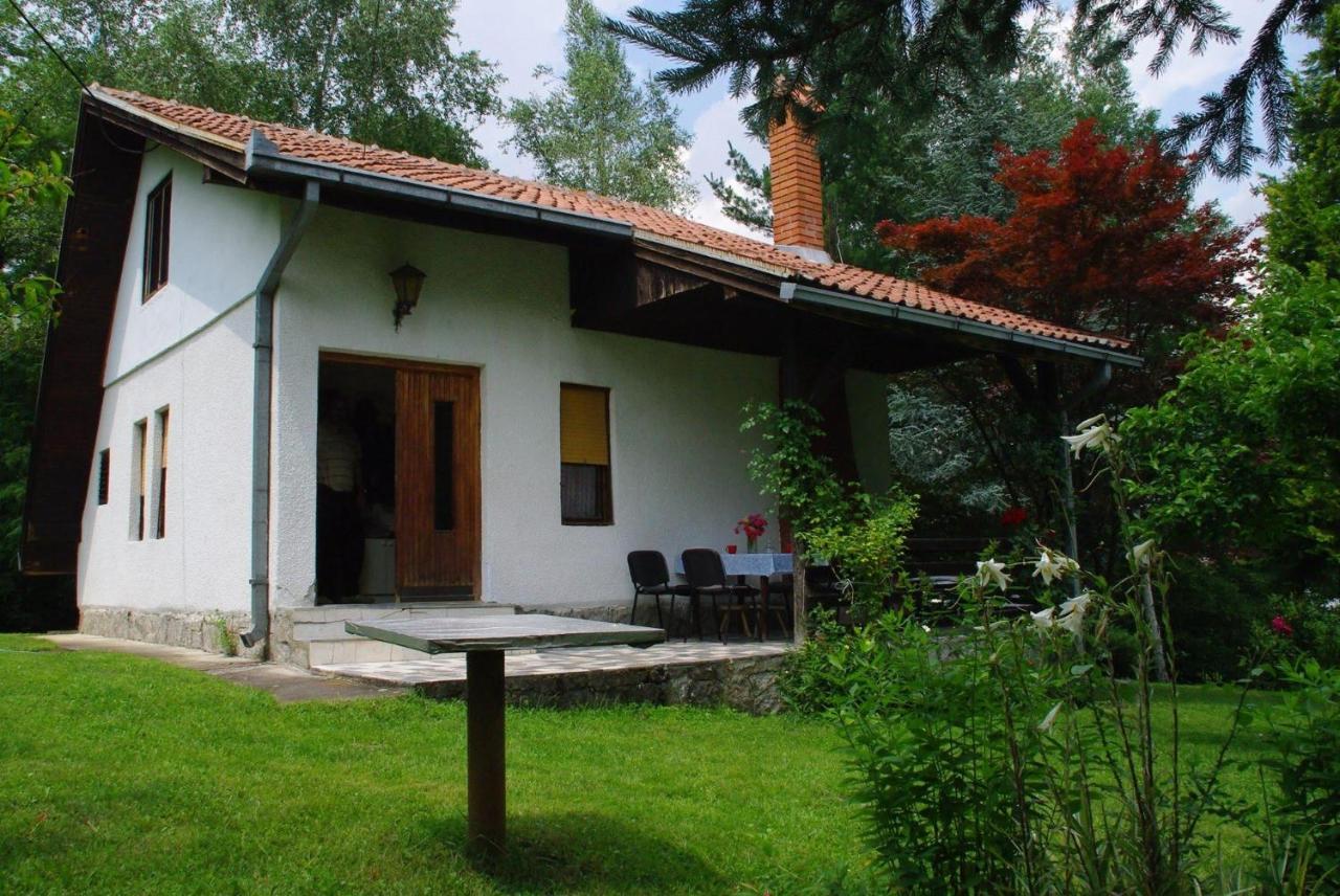 Takovo - Odmor U Selu Villa Gornji Milanovac Ngoại thất bức ảnh